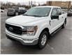 2021 Ford F-150 XLT (Stk: 250246) in North Bay - Image 7 of 25