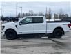 2025 Ford F-150 XLT (Stk: 2025-67) in New Liskeard - Image 5 of 16