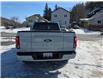 2024 Ford F-150 Platinum (Stk: DF2550) in Sudbury - Image 4 of 32