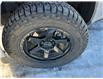 2024 Ford F-150 Platinum (Stk: DF2550) in Sudbury - Image 9 of 32