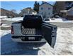 2024 Ford F-150 Platinum (Stk: DF2550) in Sudbury - Image 28 of 32