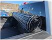 2024 Ford F-150 Platinum (Stk: DF2550) in Sudbury - Image 29 of 32