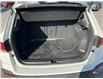 2024 Volkswagen Taos Comfortline (Stk: 250235) in Kingston - Image 25 of 26