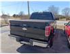 2011 Ford F-150 XLT (Stk: 240635A) in Whitchurch-Stouffville - Image 3 of 7