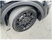 2022 Kia Telluride  (Stk: DU8078T) in Ottawa - Image 4 of 17