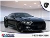 2017 Ford Mustang  (Stk: DY951A) in Ottawa - Image 1 of 10