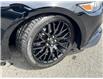 2017 Ford Mustang  (Stk: DY951A) in Ottawa - Image 4 of 10