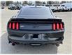 2017 Ford Mustang  (Stk: DY951A) in Ottawa - Image 5 of 10