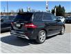 2014 Mercedes-Benz M-Class Base (Stk: 7461P) in Mono - Image 3 of 19