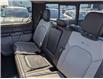 2020 Ford F-150 Limited (Stk: 19133) in Calgary - Image 18 of 28