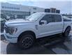 2021 Ford F-150 Lariat (Stk: SK-148A) in Calgary - Image 1 of 24