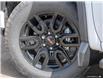 2025 GMC Sierra 1500 Elevation (Stk: 25461) in Orangeville - Image 9 of 32