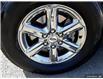 2024 Ford F-150 XLT (Stk: PS082) in Kamloops - Image 10 of 32