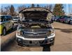 2019 Ford F-150 XLT (Stk: KR-397A) in Okotoks - Image 23 of 26