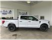 2025 Ford F-150 STX (Stk: 25110) in Port Alberni - Image 3 of 26