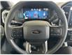 2025 Ford F-150 STX (Stk: 25110) in Port Alberni - Image 17 of 26