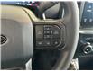2025 Ford F-150 STX (Stk: 25110) in Port Alberni - Image 26 of 26