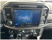 2025 Ford F-150 Tremor (Stk: 25086) in Port Alberni - Image 21 of 29