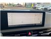 2025 Kia EV6 Land w/GT-Line Package (Stk: SEV61454) in Sherwood Park - Image 14 of 15