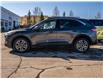2020 Ford Escape SEL (Stk: SK-143B) in Okotoks - Image 3 of 23