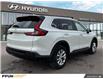 2023 Honda CR-V LX (Stk: F0684) in Saskatoon - Image 9 of 29