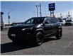 2019 Jeep Cherokee Trailhawk (Stk: SI01660A) in Tilbury - Image 3 of 29