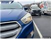 2018 Ford Escape SE (Stk: P4775) in Dartmouth - Image 8 of 24