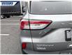 2022 Ford Escape Titanium Hybrid (Stk: P0769B) in Dartmouth - Image 10 of 24
