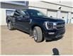 2021 Ford F-150  (Stk: 267532) in Brooks - Image 6 of 11