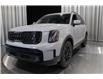 2025 Kia Telluride X-Line w/Terracota Brown Interior (Stk: 26059) in Edmonton - Image 6 of 35