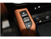 2025 Kia Telluride X-Line w/Terracota Brown Interior (Stk: 26059) in Edmonton - Image 20 of 35