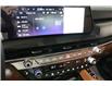 2025 Kia Telluride X-Line w/Terracota Brown Interior (Stk: 26059) in Edmonton - Image 21 of 35