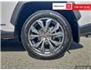 2025 Toyota RAV4 Hybrid XLE (Stk: P3400) in Courtenay - Image 7 of 26