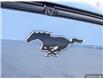 2024 Ford Mustang Mach-E Premium (Stk: 6-24ME0563) in Whitby - Image 9 of 32