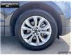 2023 Ford Edge Titanium (Stk: DR1022) in Brantford - Image 6 of 23