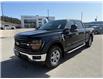 2025 Ford F-150 XLT (Stk: 5T018) in Williams Lake - Image 1 of 13