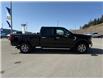 2025 Ford F-150 XLT (Stk: 5T018) in Williams Lake - Image 6 of 13