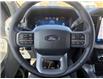 2025 Ford F-150 XLT (Stk: 5T018) in Williams Lake - Image 13 of 13