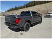 2025 Ford F-150 XLT (Stk: 5T020) in Williams Lake - Image 5 of 13