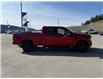 2025 Ford F-150 XLT (Stk: 5T011) in Williams Lake - Image 6 of 13