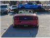 2015 Ford Mustang GT Premium (Stk: 58B11570) in Penticton - Image 5 of 19