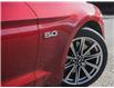 2015 Ford Mustang GT Premium (Stk: 58B11570) in Penticton - Image 7 of 19