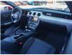 2015 Ford Mustang GT Premium (Stk: 58B11570) in Penticton - Image 12 of 19