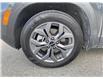 2025 Kia Seltos EX (Stk: M25-0232P) in Chilliwack - Image 8 of 22