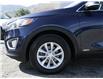 2017 Kia Sorento 2.4L LX (Stk: 5925SE27A) in Penticton - Image 4 of 25