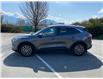 2021 Ford Escape PHEV SE (Stk: K53-8559A) in Chilliwack - Image 3 of 19