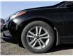 2016 Hyundai Sonata GL (Stk: 5925PK53B) in Penticton - Image 3 of 24