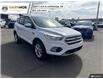 2019 Ford Escape SE (Stk: LC0477) in Lethbridge - Image 7 of 14