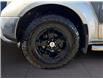 2010 Nissan Frontier  (Stk: 12127) in Golden - Image 16 of 17