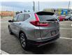 2017 Honda CR-V EX (Stk: 2503133) in Waterloo - Image 3 of 25